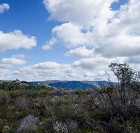 Barren Grounds Nature Reserve - Tourism Caloundra