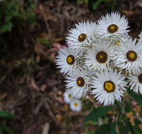 Hastings Forest Way touring route - Tourism Caloundra