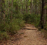 Pigeon House Mountain Didthul walking track - Tourism Caloundra