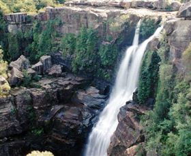 Minnamurra Rainforest Centre: Budderoo National Park - Tourism Caloundra 0