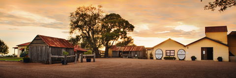 Tyrrells Vineyards - Tourism Caloundra 2