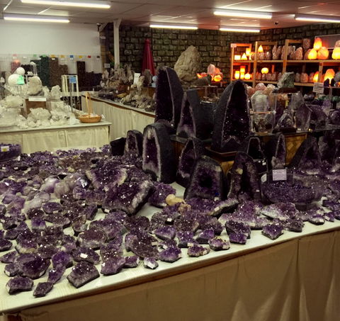 The Elephant Shop - Tourism Caloundra 6