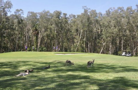 Emerald Downs Golf Course - Tourism Caloundra 4