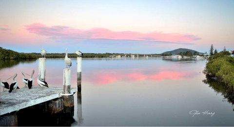 Galleries In The Gardens - Tourism Caloundra 3