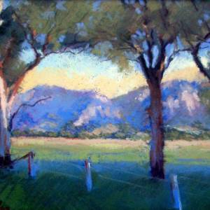 Galleries In The Gardens - Tourism Caloundra 4