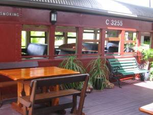 Red Rattlers Gallery - Tourism Caloundra 5