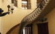 Elizabeth Bay House - thumb 2