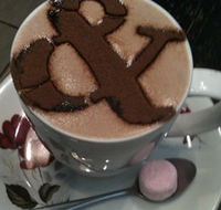 Ampersand Caf Bookstore Paddington - Tourism Caloundra