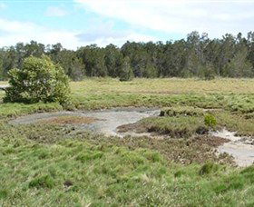 Boondall Wetlands Reserve - Tourism Caloundra 1