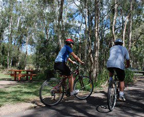 Boondall Wetlands Reserve - Tourism Caloundra 2