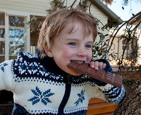 The Sydney Chocolate School - Tourism Caloundra 0