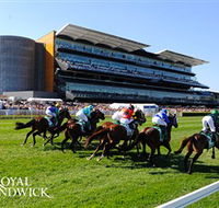 Royal Randwick Racecourse - Tourism Caloundra