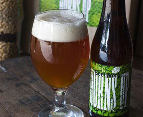 HopDog Beer Works Brewery - Tourism Caloundra 1