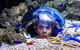 Sea Life Sunshine Coast - thumb 0