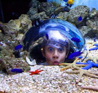 Sea Life Sunshine Coast - Tourism Caloundra