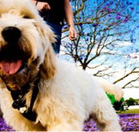 Tuckeroo Park - Tourism Caloundra
