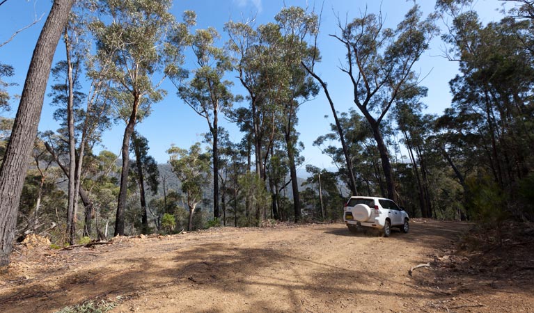 Wadbilliga NSW Tourism Caloundra