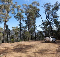 Wadbilliga Road drive - Tourism Caloundra