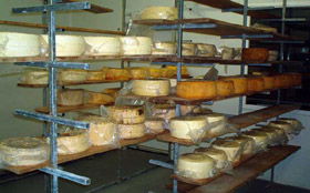 Harvey Cheese - Tourism Caloundra 0