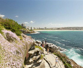 Bondi To Coogee Coastal Walk - Tourism Caloundra 3