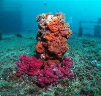 HMAS Brisbane Dive Site - Tourism Caloundra