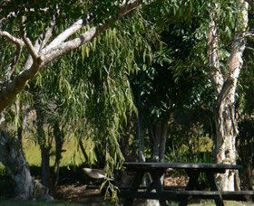 Spring Grove NSW Tourism Caloundra