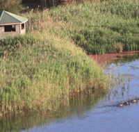 Spring Creek Bird Hide - Tourism Caloundra
