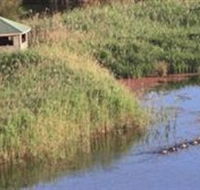 Spring Creek Wetlands Walk - Tourism Caloundra