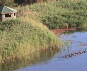 Spring Creek Wetlands Walk - Tourism Caloundra 0