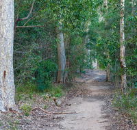 Delta track - Tourism Caloundra