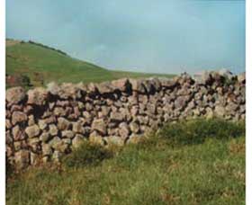 Historic Dry Stone Walls - Tourism Caloundra 0