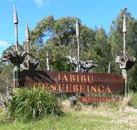 Jabiru Geenbeebeinga Wetlands - Tourism Caloundra