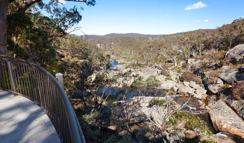Wadbilliga National Park - Tourism Caloundra 0
