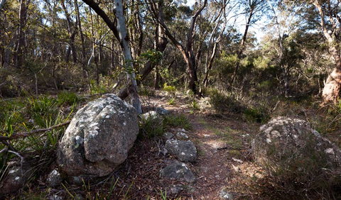 Wadbilliga National Park - Tourism Caloundra 2