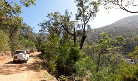 Wadbilliga National Park - Tourism Caloundra 3