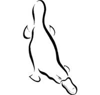 Platypus Gallery - Tourism Caloundra