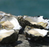 Jim Wilds Oyster Service - Tourism Caloundra