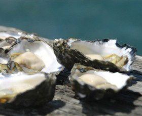 Jim Wilds Oyster Service - Tourism Caloundra 0