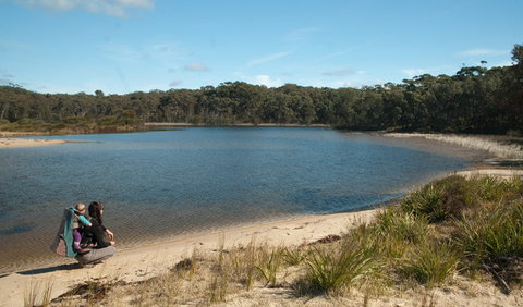 Nerindillah Lagoon Walking Track - Tourism Caloundra 0