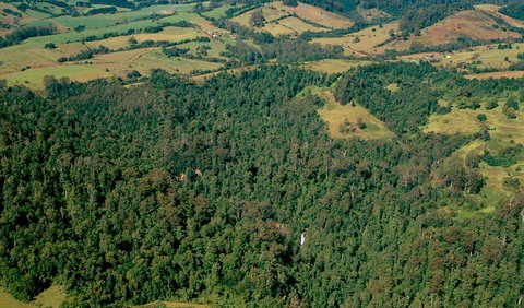 Boorganna Nature Reserve - Tourism Caloundra 0
