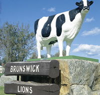 Brunswick Cow - Tourism Caloundra