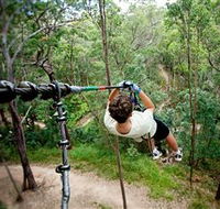 TreeTop Challenge - Tourism Caloundra
