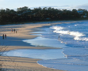 Mollymook Beach - Tourism Caloundra 1
