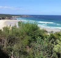 South Pacific Heathland Reserve - Tourism Caloundra