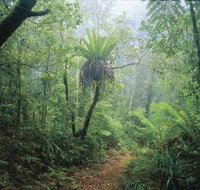 Wagawn - Tourism Caloundra