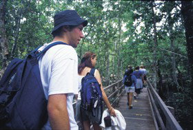 Wagawn - Tourism Caloundra 1