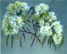 Norma Holt Studio Gallery - Tourism Caloundra 1