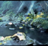 Coomera circuit - Tourism Caloundra