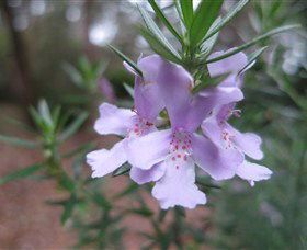 Booderee National Park Botanic Gardens - Tourism Caloundra 5