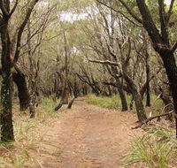 Pretty Beach to Snapper Point walking track - Tourism Caloundra
